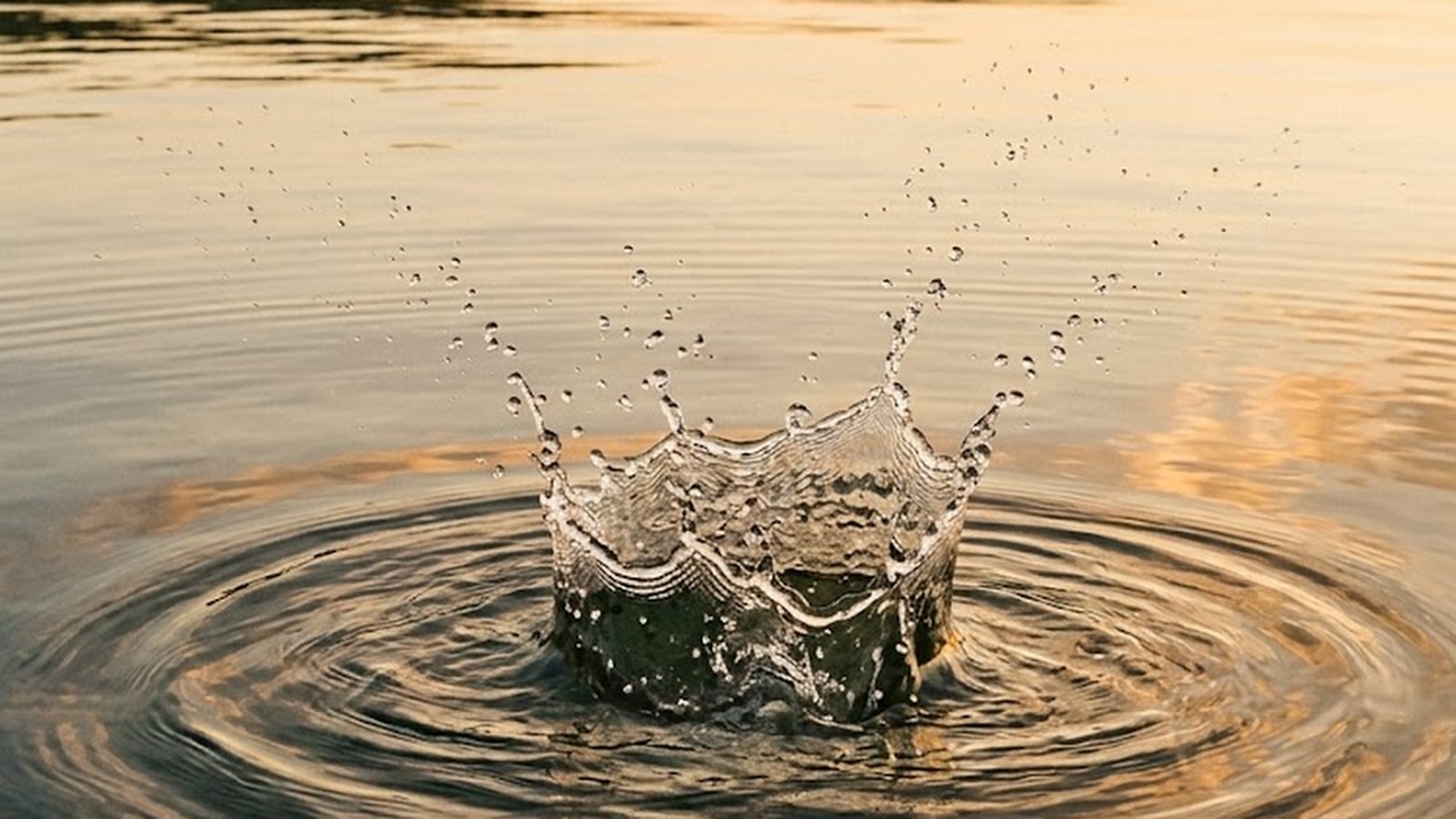 Open-water swimming: breath cadence